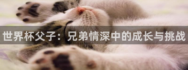 世界杯对阵表：世界杯父子：兄弟情深中的成长与挑战