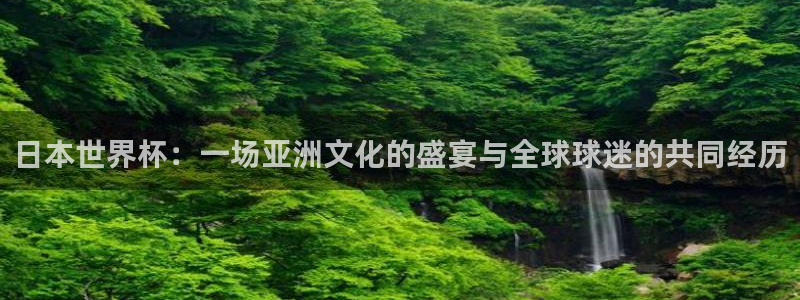亚洲区世界杯预选赛：日本世界杯：一场亚洲文化的盛宴与全球球迷的共同经历