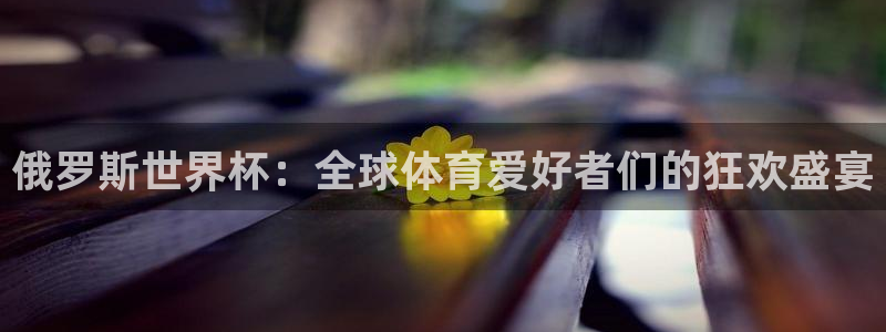2026世界杯预选赛：俄罗斯世界杯：全球体育爱好者们的狂欢盛宴