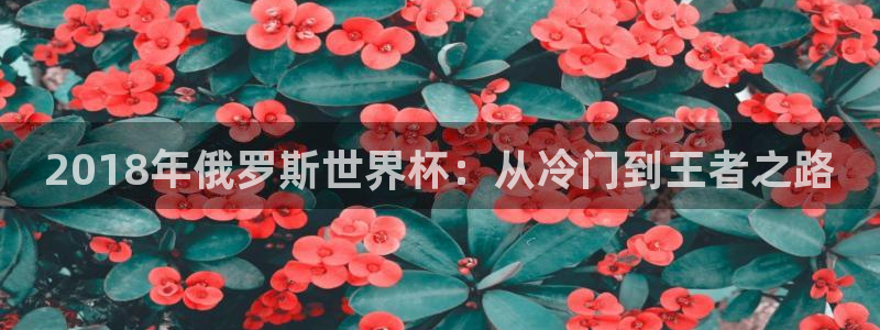 足球世界杯：2018年俄罗斯世界杯：从冷门到王者之路