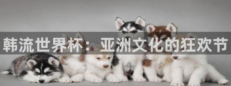 今年的世界杯：韩流世界杯：亚洲文化的狂欢节