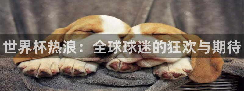 2026男足世界杯：世界杯热浪：全球球迷的狂欢与期待