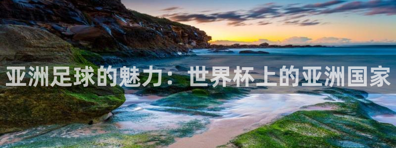 世界杯时间：亚洲足球的魅力：世界杯上的亚洲国家