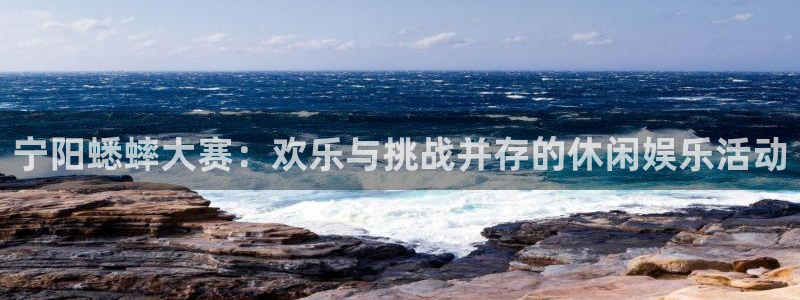 2026世界杯足球赛程时间表：宁阳蟋蟀大赛：欢乐与挑战并存的休闲娱乐活动