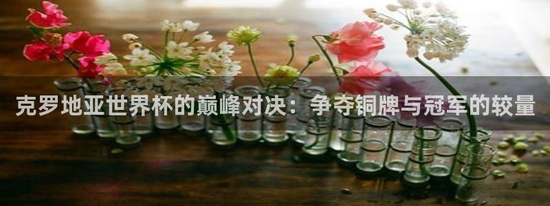 世界杯预选赛欧洲赛区赛程：克罗地亚世界杯的巅峰对决：争夺铜牌与冠军的较量