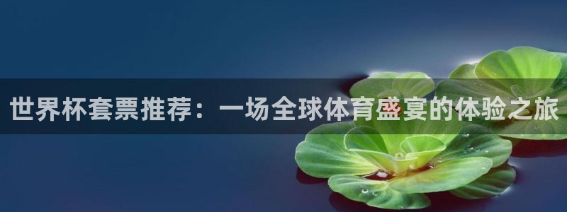 世界杯比赛直播：世界杯套票推荐：一场全球体育盛宴的体验之旅