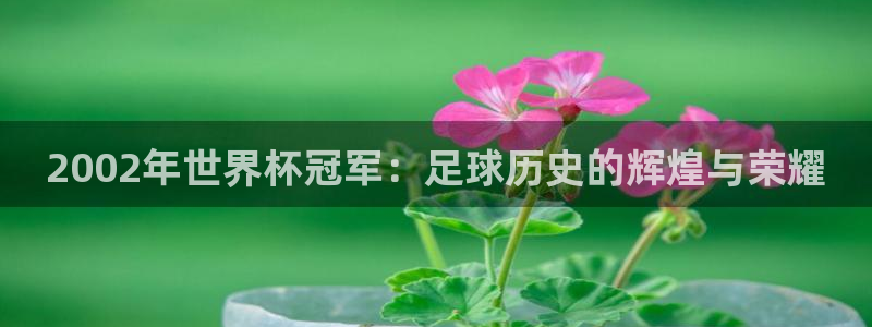美洲杯直播：2002年世界杯冠军：足球历史的辉煌与荣耀