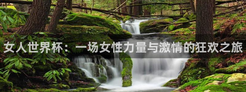 2026 世界杯：女人世界杯：一场女性力量与激情的狂欢之旅