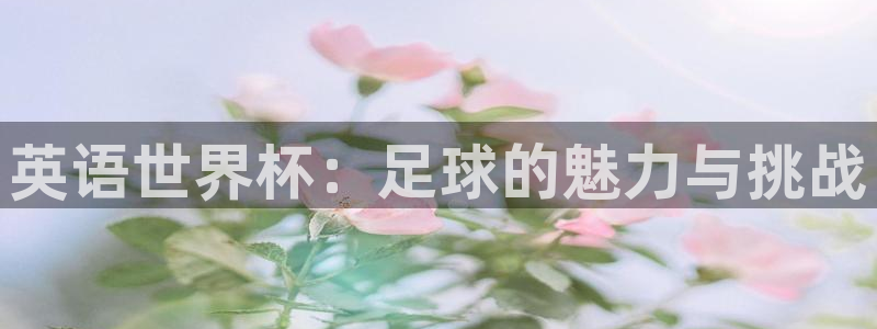 亚洲杯比赛直播：英语世界杯：足球的魅力与挑战