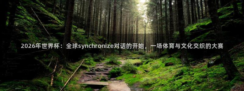 世界杯直播时间：2026年世界杯：全球synchronize对话的开始，一场体育与文化交织的大赛